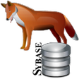 Icon of program: FoxPro Sybase iAnywhere I…