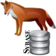 Icon of program: FoxPro Sybase iAnywhere I…
