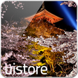 Icon of program: Japanese Sakura Live Wall…