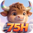 Icon of program: 75HZenFlow