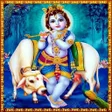 Icon of program: Krishna Songs Telugu