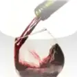 Icon of program: Vins