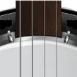Icon of program: Real Banjo - Banjo Simula…