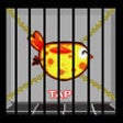 Icon of program: Jail Bird