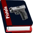 Icon of program: types of pistols