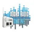 Icon of program: adora radio online