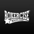 Icon of program: Boxercise Bootcamp