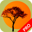 Icon of program: Kruger National Park Fiel…