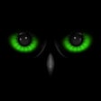 Icon of program: Night Eyes FREE - Low Lig…