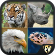 Icono de programa: Endangered Animals: Endan…