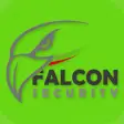 Icon of program: Falcon Security