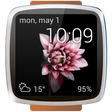Icono de programa: Animated watch faces