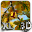 Icono de programa: Autumn Leaves in HD Gyro …