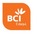 Icon of program: BCI Daki