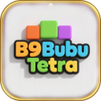 Icon of program: B9Bubu Tetra