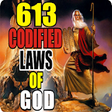 Icon of program: 613 Codified Laws of God