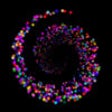 Icon of program: Illusion