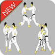 Icono de programa: Karate Martial Arts Techn…