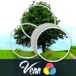 Icon of program: Venn Trees: Overlapping J…
