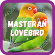 Icono de programa: Masteran Lovebird Ngekek
