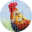 Icono de programa: Rooster Sounds ~ Sboard.p…