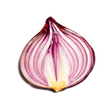 Icono de programa: Onion Search Engine