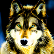 Icono de programa: Neon Wolf Live Wallpaper