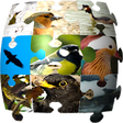 Icon of program: Ornithopedia Europe