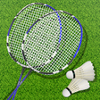 Icon of program: 3D Pro Badminton Champion…