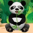 Icon of program: Panda Care
