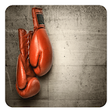 Icono de programa: Boxing