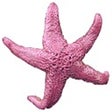 Icon of program: StarfishX