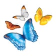 Icon of program: myChildren's