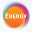 Icon of program: Exergy