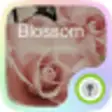 Icon of program: (FREE) Blossom GO Locker …