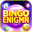 Icon of program: Bingo Enigma