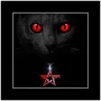 Icon of program: Evil Black Cat Theme
