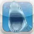 Icon of program: Shark Bible