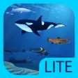 Icon of program: iBiome-Ocean Lite