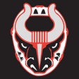 Icono de programa: Birmingham Bulls