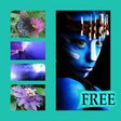 Icon of program: Photo Joiner Free - Add M…