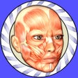 Icon of program: Speed Anatomy Lite (Quiz)