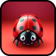 Icon of program: Ladybug Pattern Quest