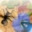 Icon of program: Pocket Ants for iPhone