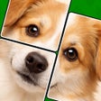 Icon of program: Jigmagic Solitaire - Puzz…