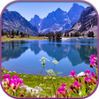 Icono de programa: HD Nature Live Wallpaper