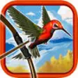 Icon of program: Crazy Bird Hunter : Bow &…