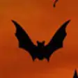 Icon of program: Halloween Bats Screensave…