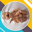 Icono de programa: Mechanism of Labour: Norm…