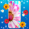 Icono de programa: Live Wallpaper  Spring an…